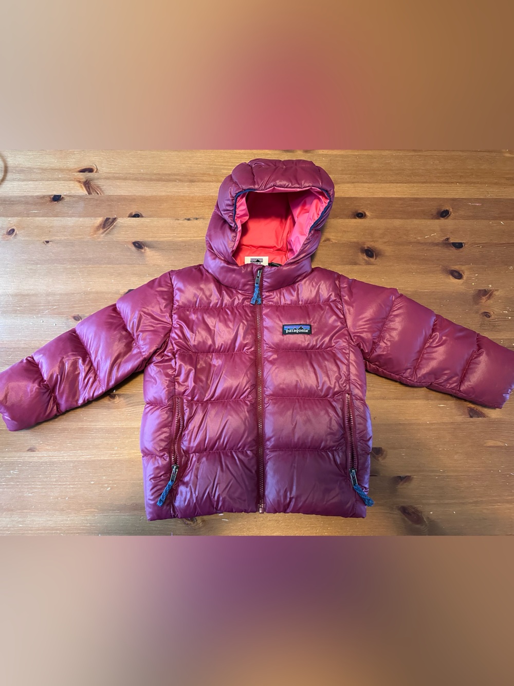 Patagonia Hi Loft Down Sweater Hoody